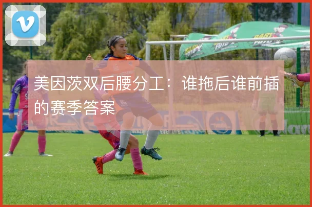 美因茨双后腰分工：谁拖后谁前插的赛季答案